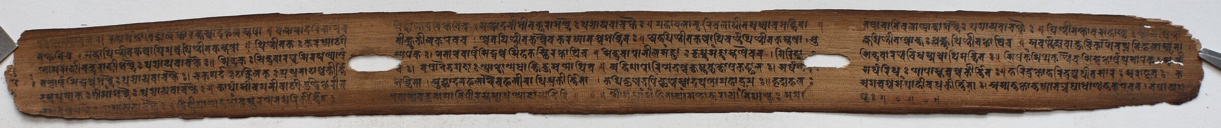 A single long palm leaf densely written in early Nepalese script, with two string holes