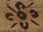 IMG_0152-flower.png